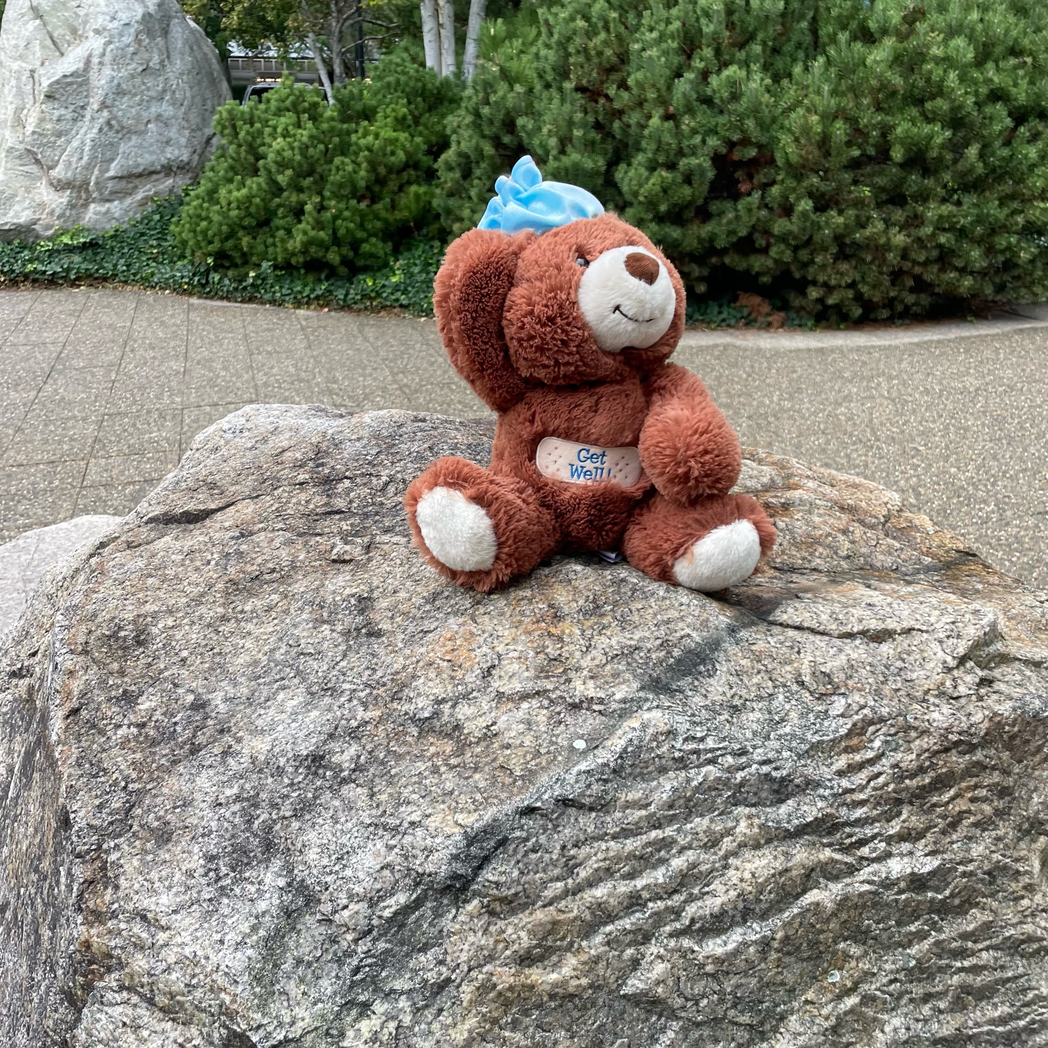 bear plushie