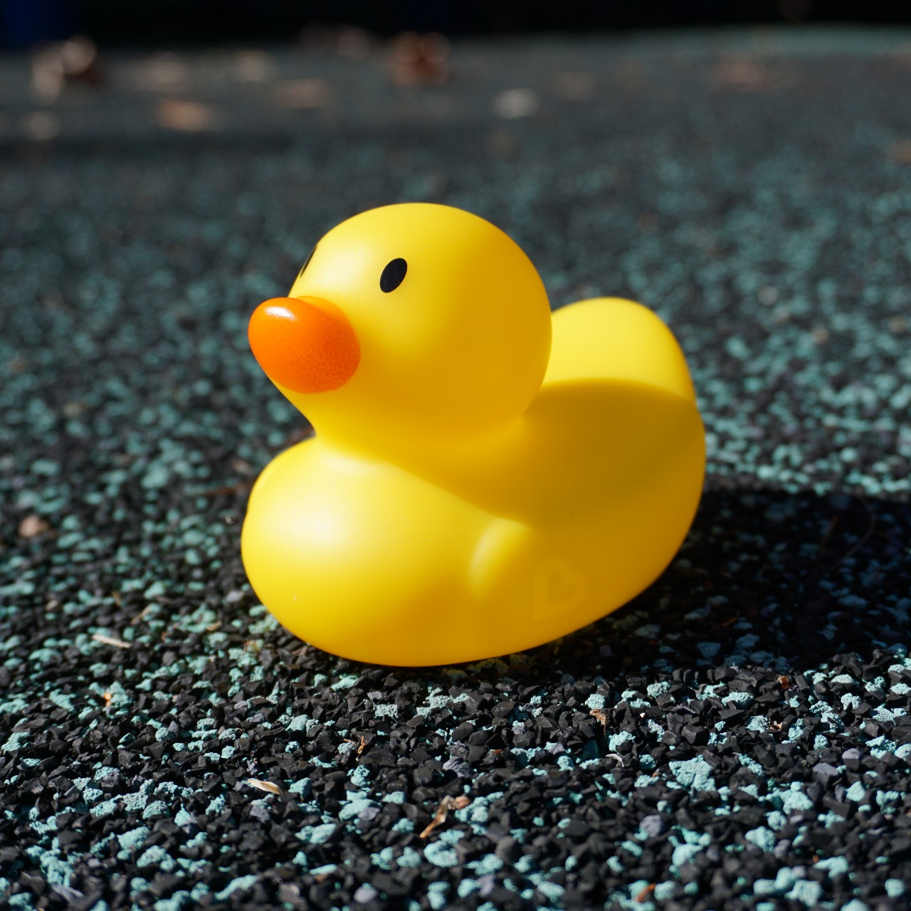 duck toy