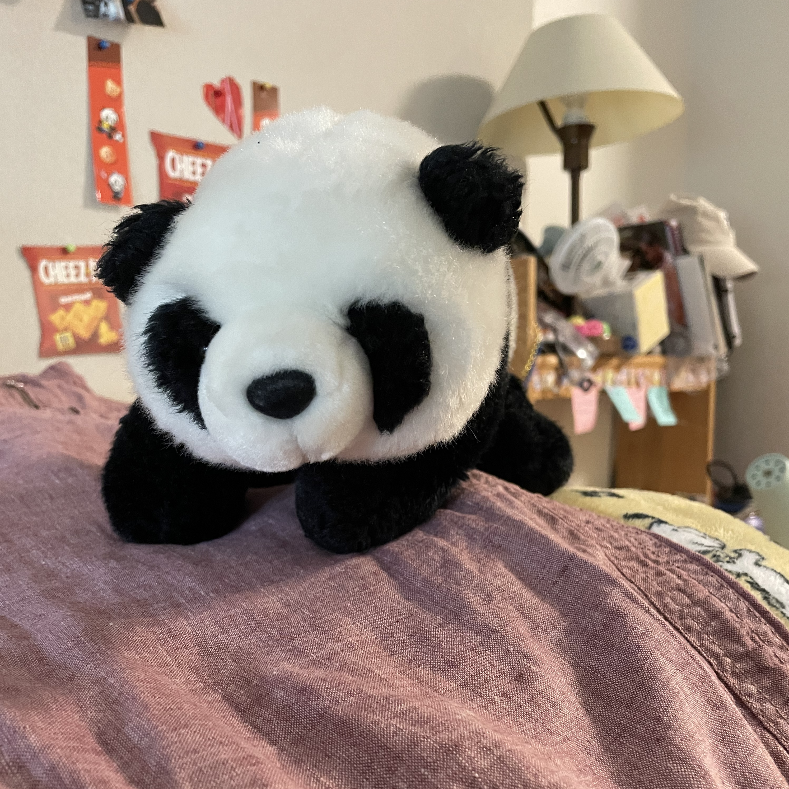 panda