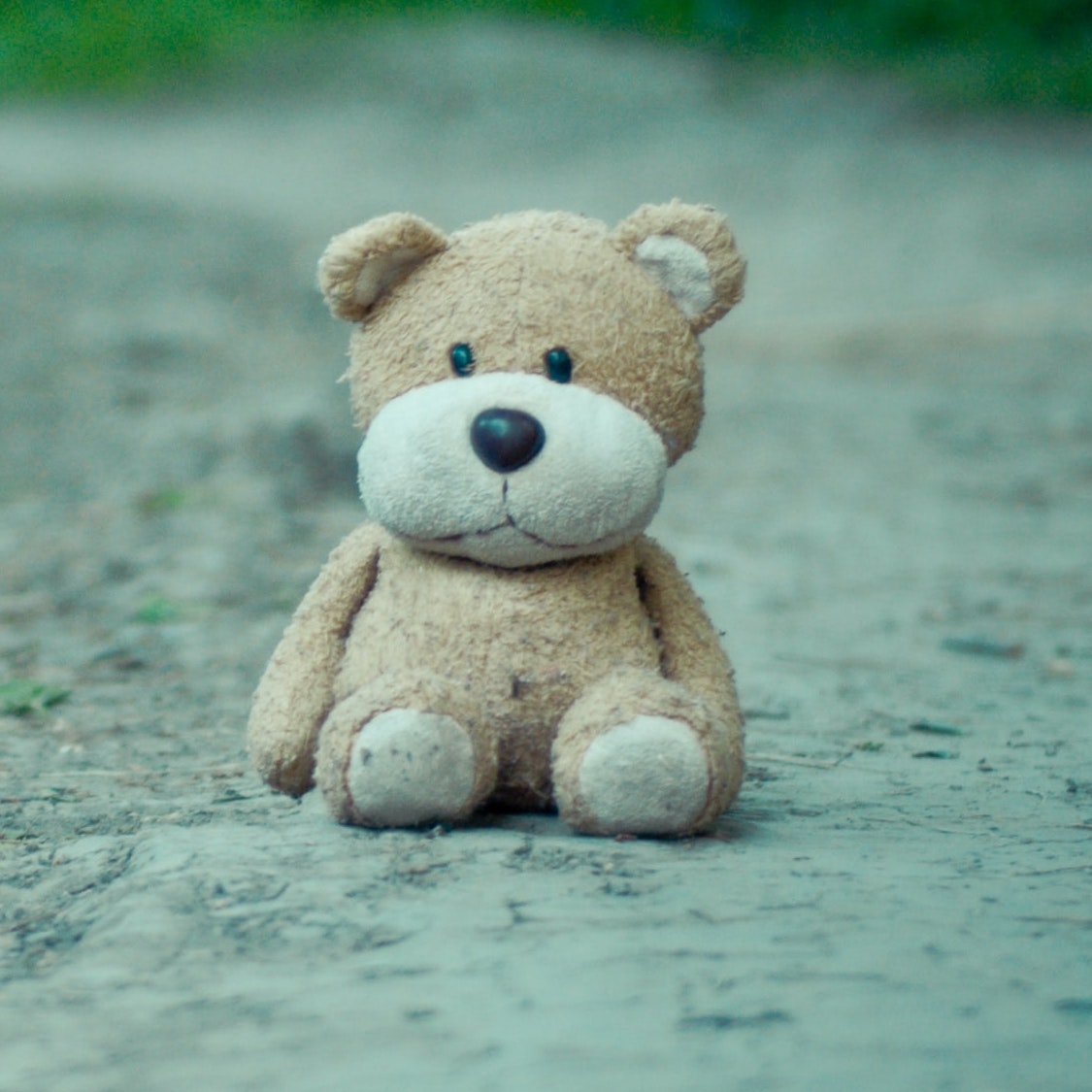 teddy bear